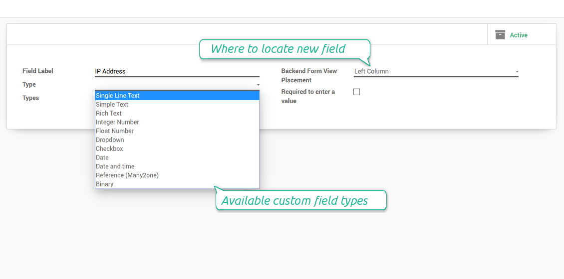 Types of custom fields for access keys