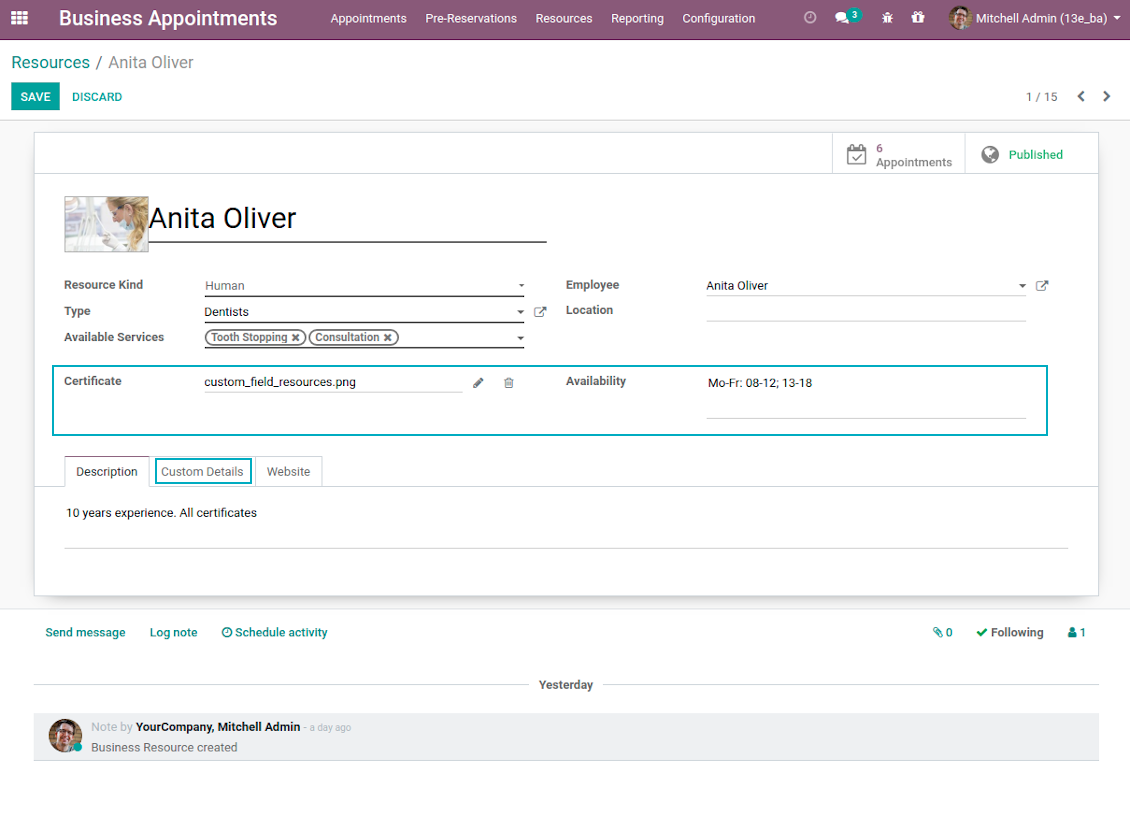 Custom details in Odoo backend